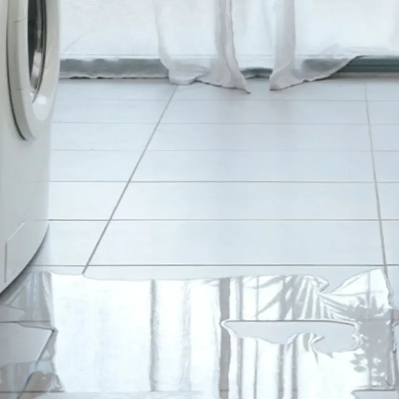 Appliance Leak Cleanup in Greenville, NH