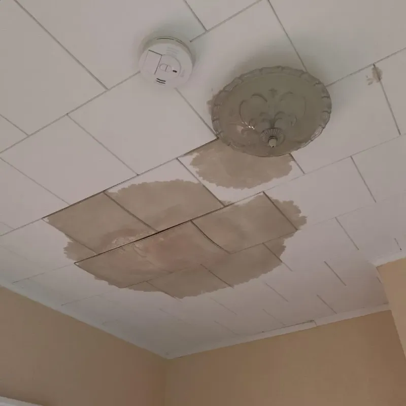 Ceiling Water Damage Repair in Greenville, NH
