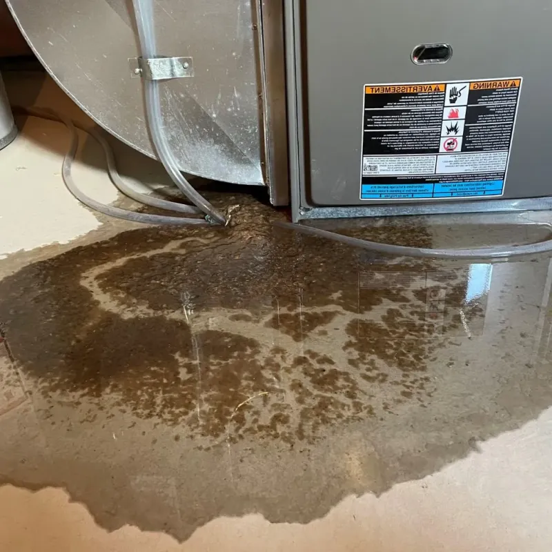 Pipe Burst and Leak Restoration in Greenville, NH